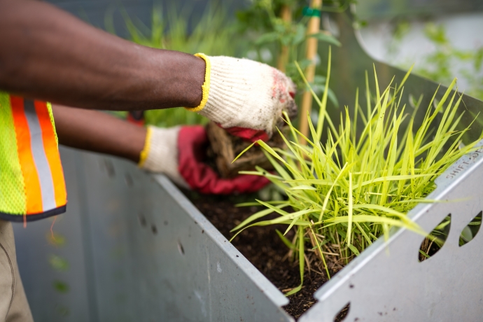 The West Philadelphia Skills Initiative (WPSI) | Green Wall Project