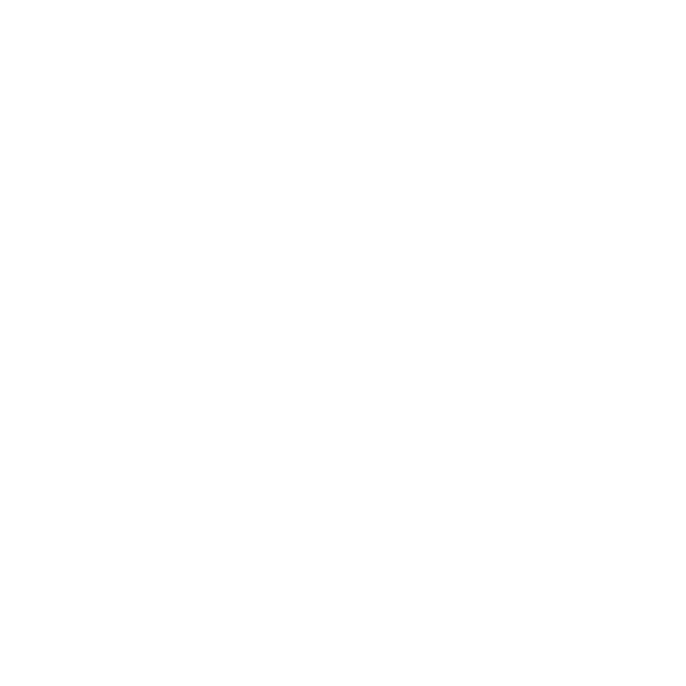 Connelly Foundation logo